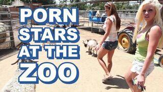 Horny pornstars invade the zoo and fuck the keeper hard