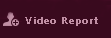 Report